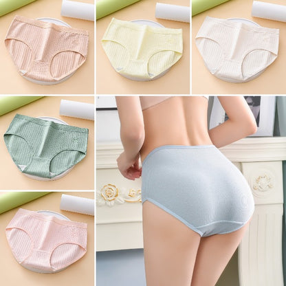 🔥【30% OFF】7 piezas por 25 euros【Tallas M-2XL】Nuevas braguitas premium de algodón de talle alto, impermeables y antibacterianas (colección 2026)-【Para pesos de 35 a 100 kg】