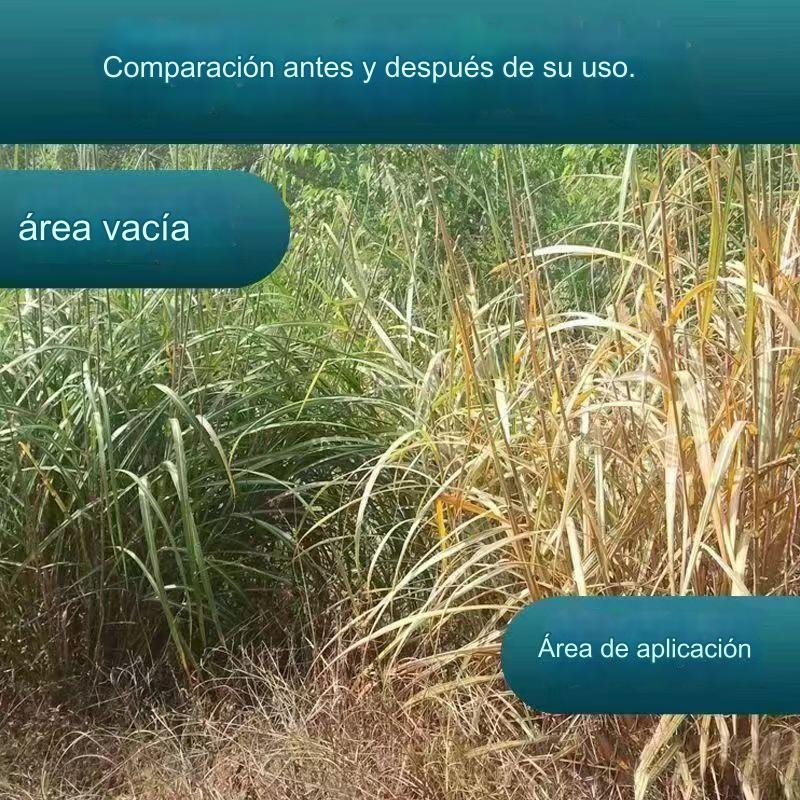 【Compra 1 y obten 2 gratis】 Herbicida de glufosinato de amonio altamente concentrado