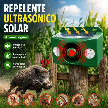 🔥【50% OFF】🐅Repelente ultrasónico de animales salvajes alimentado por energía solar