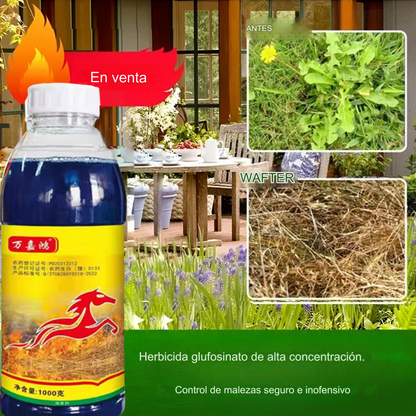 【Compra 1 y obten 2 gratis】 Herbicida de glufosinato de amonio altamente concentrado