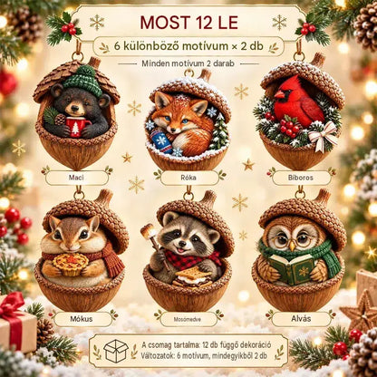 🎉【Vásárolj 6-ot, kapsz 6-ot ingyen】🤩12 termék 8500 Ft-ért 🎁Vadonatúj 2D akril karácsonyi dizájn: fenyőtoboz forma és állatminták