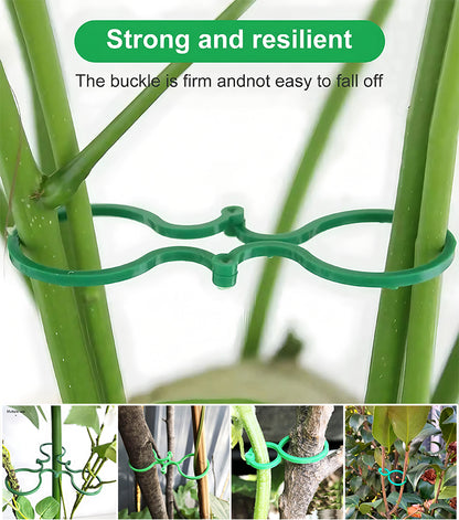 🍇【500piezas】🌱Abrazaderas fijas con hebilla en forma de 8, adecuadas para plantas trepadoras, jardines/huertos/huertos frutales, ataduras de vides